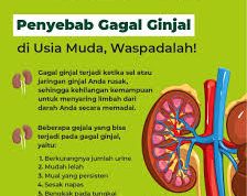 Penyakit Ginjal di Usia Muda: Mengapa Pemeriksaan Kesehatan Harus Ditingkatkan?