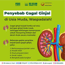 Penyakit Ginjal di Usia Muda: Mengapa Pemeriksaan Kesehatan Harus Ditingkatkan?