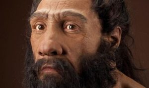 Apakah Neanderthal dan Homo Sapiens Satu Spesies? Penjelasan Ilmiah