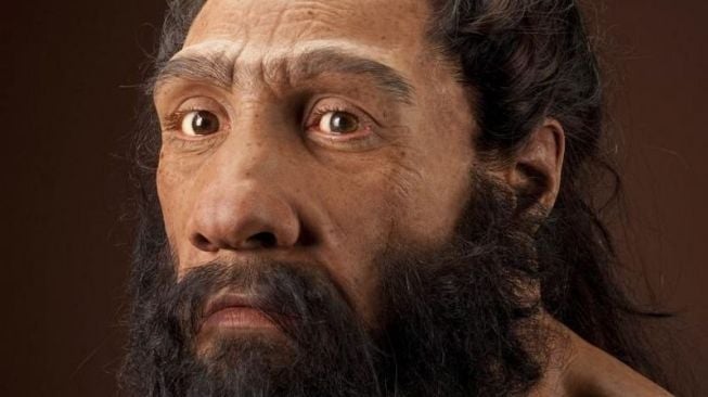 Apakah Neanderthal dan Homo Sapiens Satu Spesies? Penjelasan Ilmiah