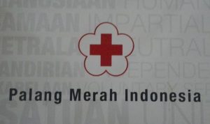 Kisruh Munas PMI: Kubu Agung Laksono Siap Gugat Kepengurusan Jusuf Kalla