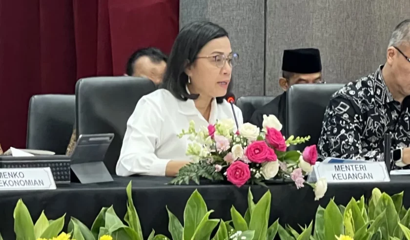 Dampak Kenaikan PPN: Pemerintah Beri Diskon Listrik 50 Persen