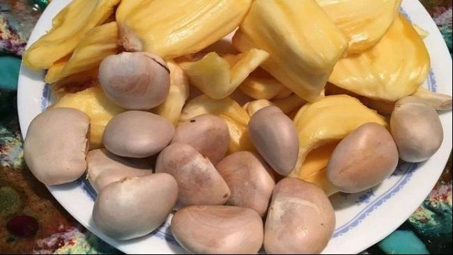 Biji Nangka: Sumber Nutrisi untuk Kesehatan Jantung dan Tulang