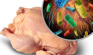 Infeksi Salmonella: Jenis Penyakit Menular yang Perlu Diwaspadai