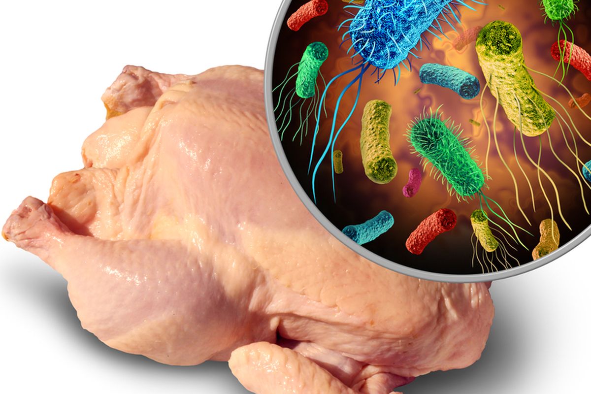 Infeksi Salmonella: Jenis Penyakit Menular yang Perlu Diwaspadai