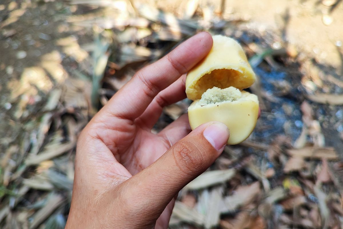 Manfaat Kesehatan Buah Salak: Dari Energi Hingga Kesehatan Pencernaan