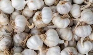 Badan Pangan Nasional Laporan Kenaikan Harga Pangan, Bawang Putih Capai Rp47.520