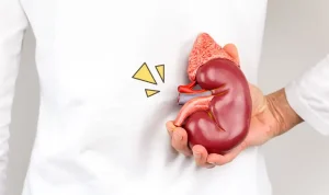 Cara Menjaga Kesehatan Ginjal Agar Tetap Sehat dan Berfungsi Dengan Baik
