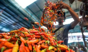 Fluktuasi Harga Pangan Tercatat di Bapanas, Harga Cabai dan Komoditas Lain Mengalami Kenaikan