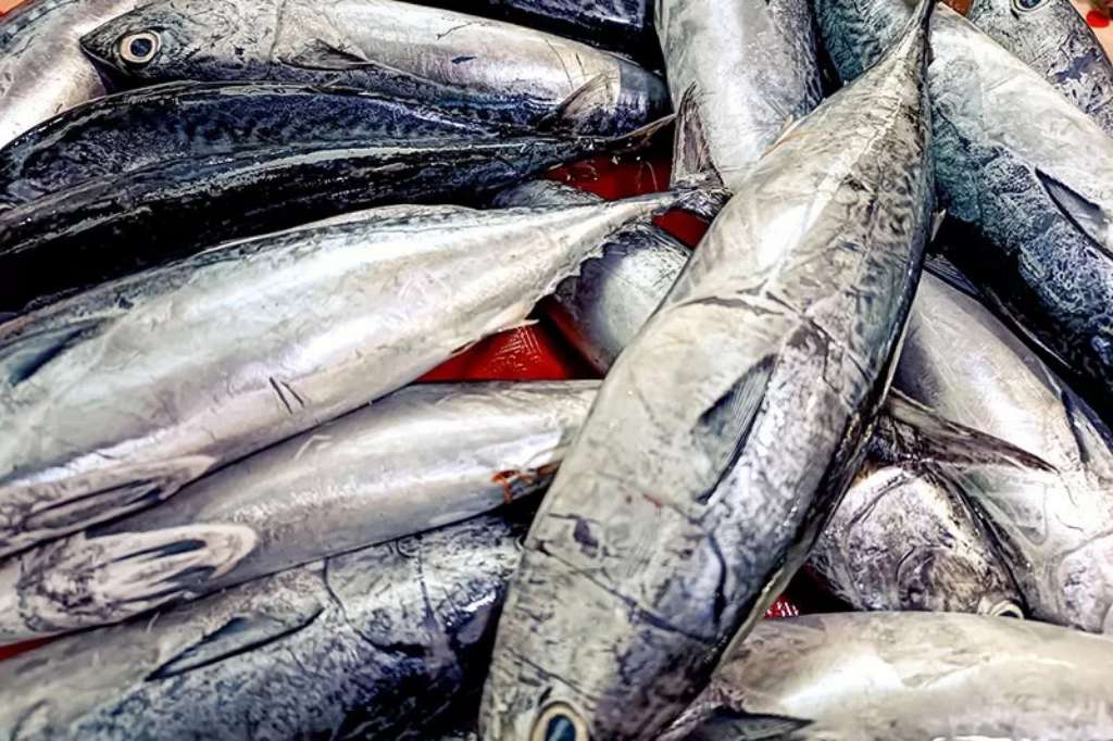 Harga Pangan Nasional Turun, Cabai Rawit Merah Tetap Rp71.700 per Kilogram