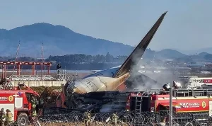 Kecelakaan Pesawat Jeju Air di Bandara Muan, 120 Korban Jiwa Tewas