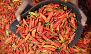 Harga Pangan Nasional Fluktuatif: Bawang Merah Naik, Gula Turun - Update 3 Januari 2025