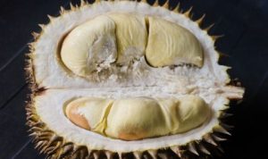 Mitos Makan Durian yang Perlu Diketahui, Jangan Sampai Salah Kaprah