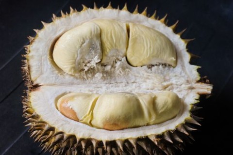 Mitos Makan Durian yang Perlu Diketahui, Jangan Sampai Salah Kaprah