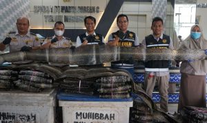 Penyelundupan 846 Kulit Ular Sanca Digagalkan Bea Cukai Teluk Nibung