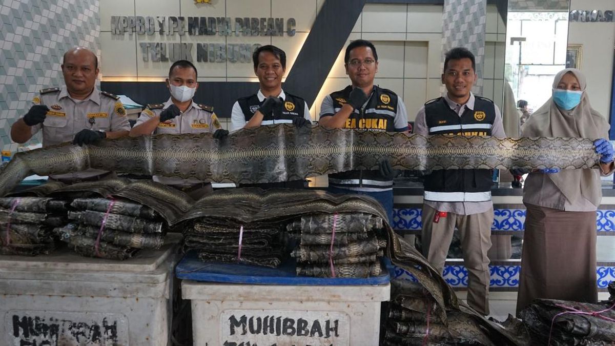 Penyelundupan 846 Kulit Ular Sanca Digagalkan Bea Cukai Teluk Nibung