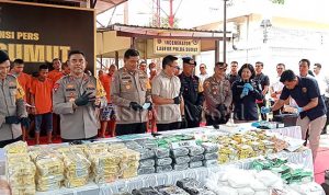 Polda Sumut Tangkap 24 Tersangka Narkoba dalam Sepekan