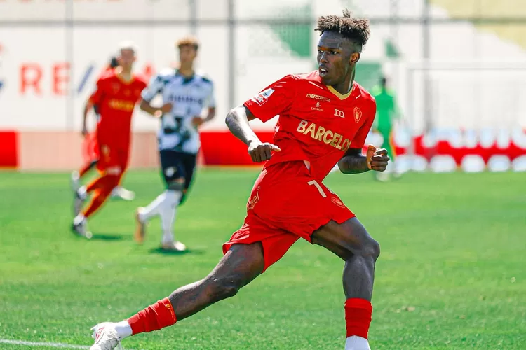 Prediksi Skor Arouca vs Gil Vicente, Portugal Primeira Liga Musim 2024, 29 Desember 2024
