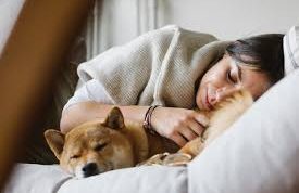 Tidur dengan Kucing atau Anjing? Manfaat dan Risiko yang Perlu Diperhatikan