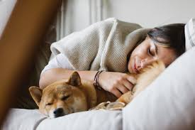 Tidur dengan Kucing atau Anjing? Manfaat dan Risiko yang Perlu Diperhatikan