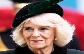 Gejala dan Penyebab Infeksi Dada: Pelajaran dari Kasus Ratu Camilla