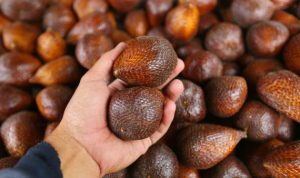 Waspadai Efek Samping Makan Salak Berlebihan yang Bisa Ganggu Pencernaan