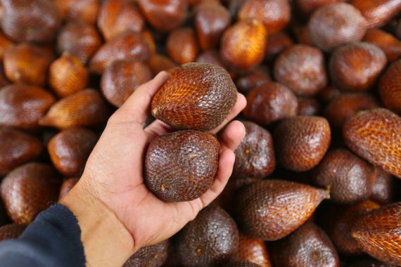 Waspadai Efek Samping Makan Salak Berlebihan yang Bisa Ganggu Pencernaan