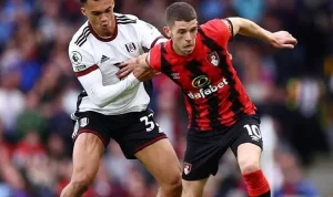 Prediksi Skor Fulham vs AFC Bournemouth, English Premier League Musim 2024/2025, 29 Desember 2024