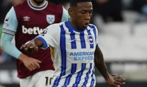 Prediksi Skor Brighton vs Brentford, English Premier League Musim 2024/2025, 28 Desember 2024