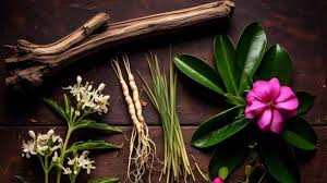 Solusi Alami untuk Gairah Seksual: 7 Obat Herbal yang Perlu Diketahui