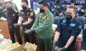 Kodam I/BB Tangani Kasus Sisik Trenggiling, Dua Prajurit TNI Diproses Hukum