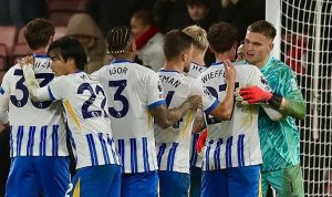 Prediksi Skor Brighton vs Crystal Palace, English Premier League Musim 2024/2025, 15 Desember 2024