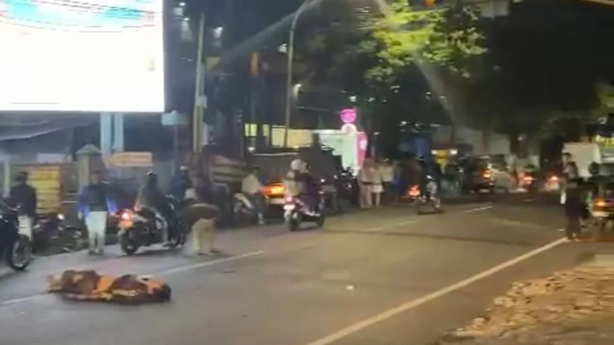 Bus Pariwisata Tabrak Kendaraan, Korban Berjatuhan