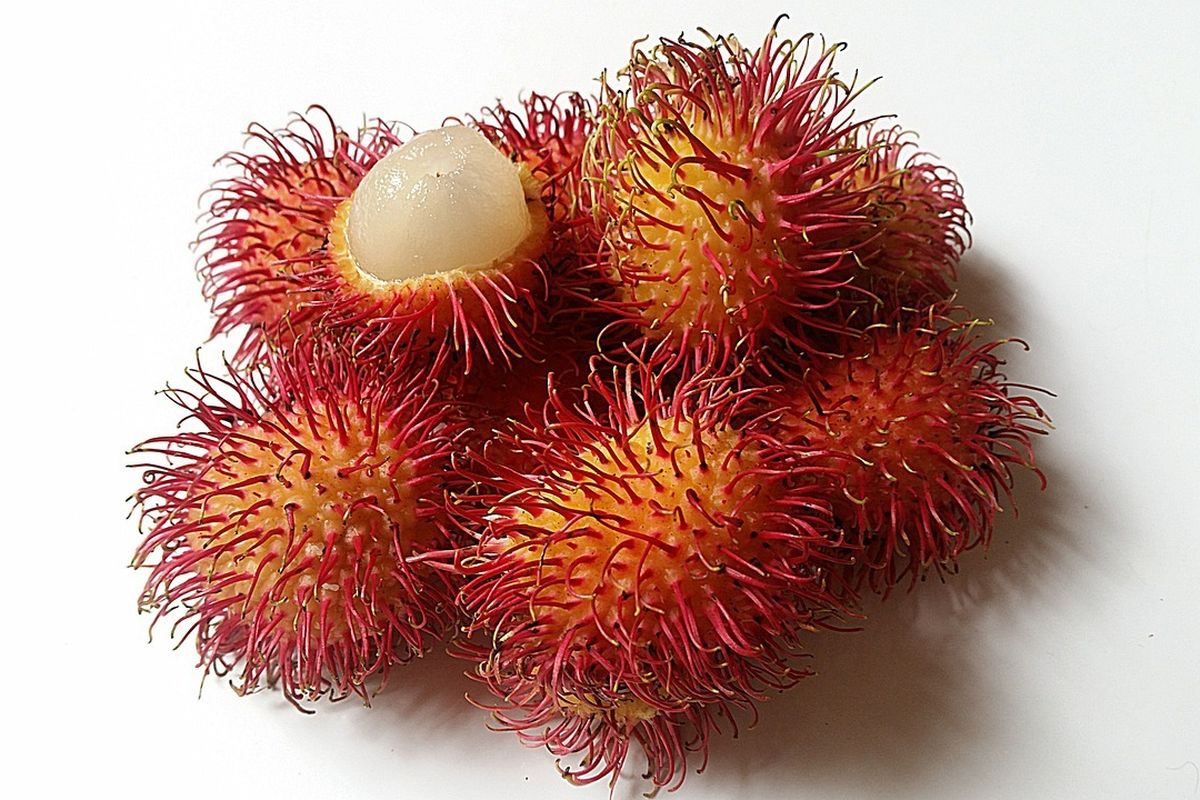 rambutan