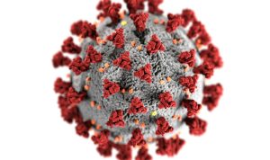 Ilustrasi penampakan Virus HMPV