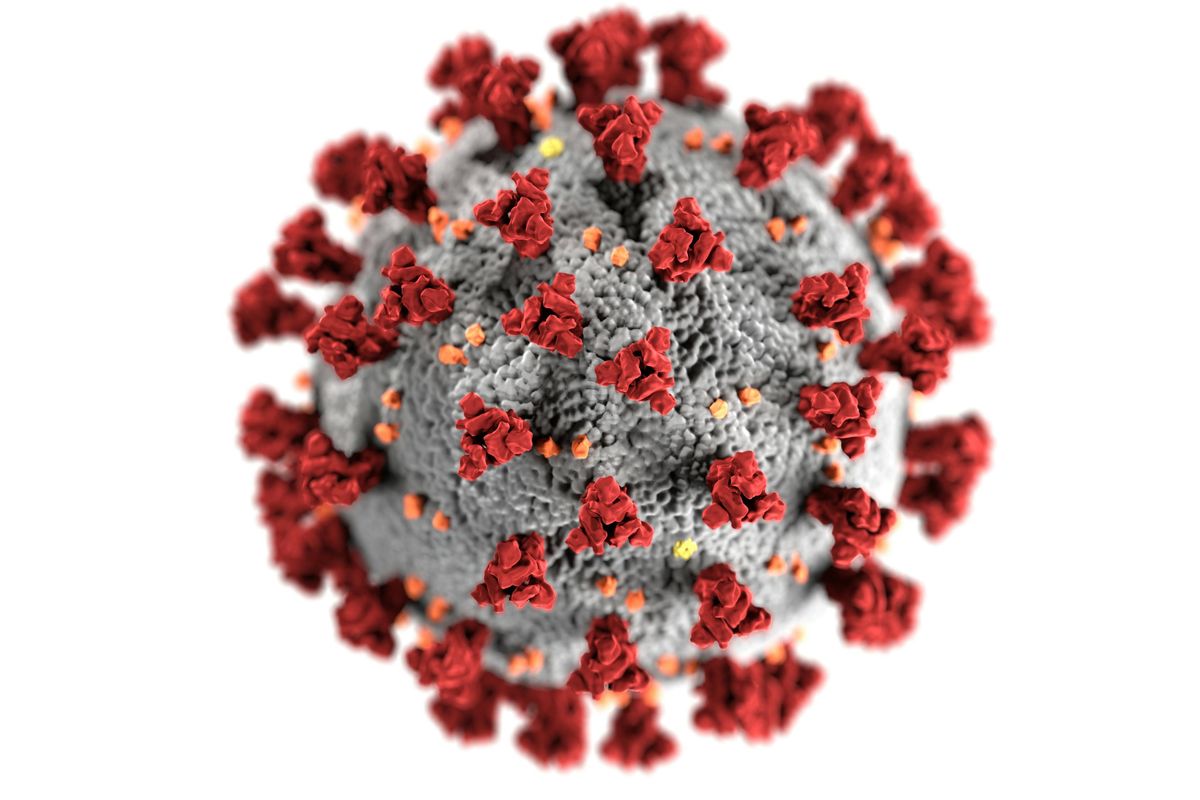 Ilustrasi penampakan Virus HMPV