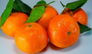 jeruk tangerine