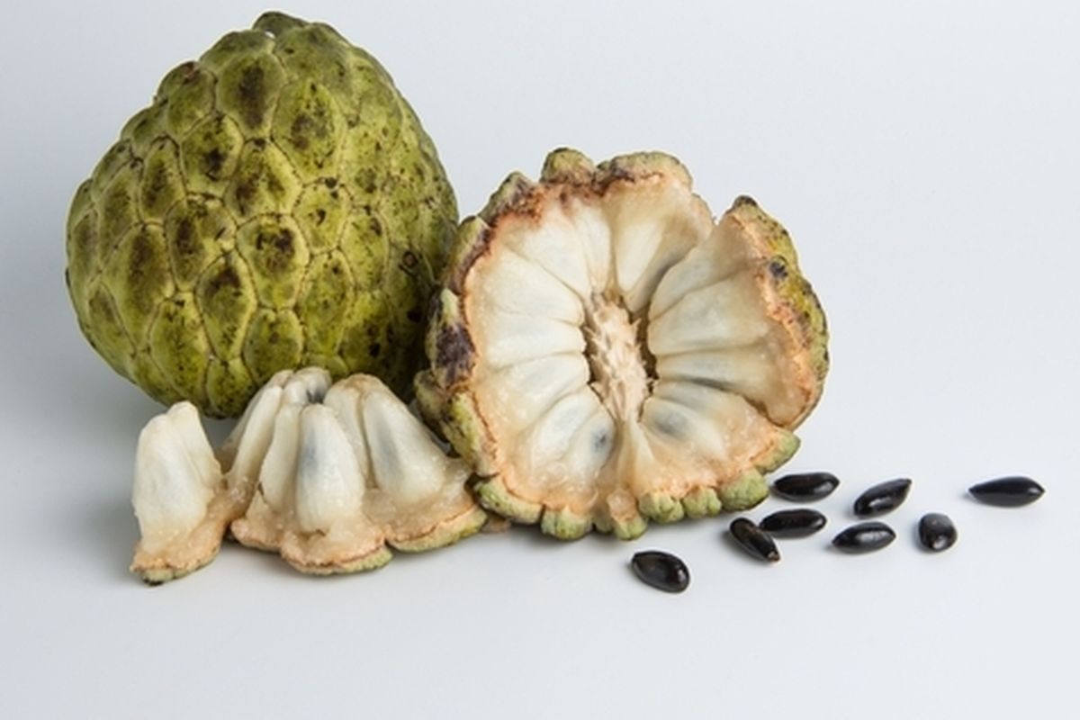 Ilustrasi buah srikaya