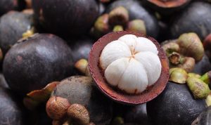 buah manggis