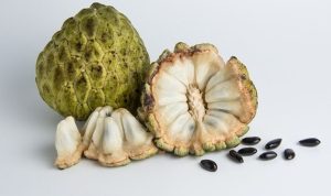 buah srikaya