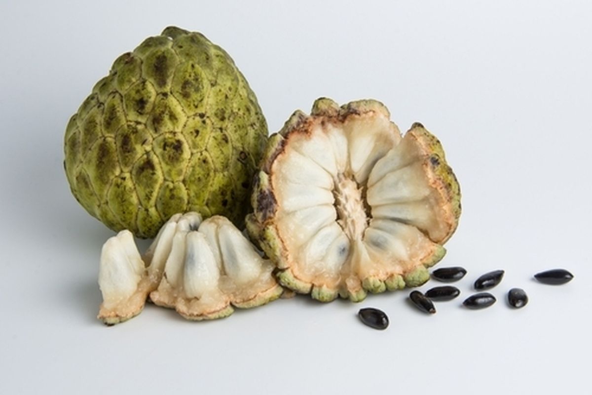 buah srikaya
