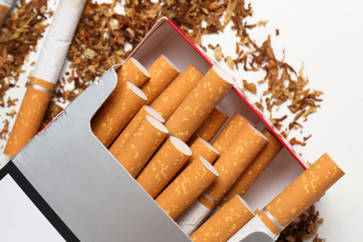 rokok