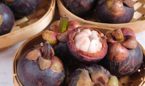buah manggis