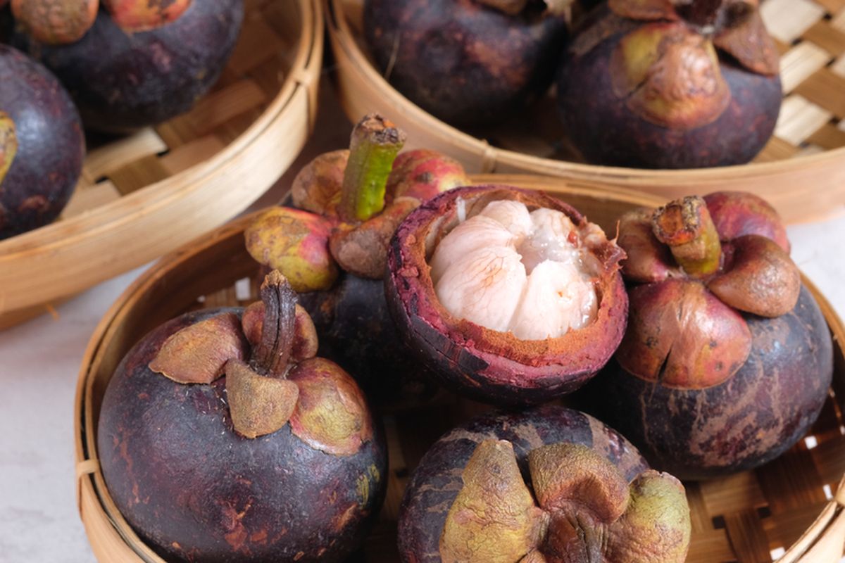 buah manggis