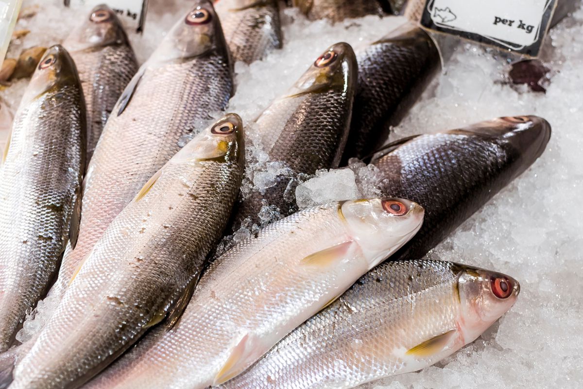 ikan bandeng