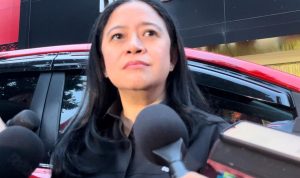 Ketua DPP PDI-P Puan Maharani
