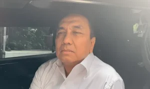 Mantan kader PDIP Effendi Simbolon