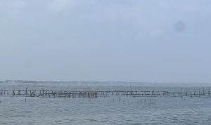 Pagar laut di Desa Kohod, Kecamatan Pakuhaji, Kabupaten Tangerang