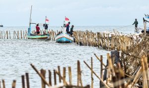 Sejumlah nelayan membongkar pagar laut yang terpasang di kawasan pesisir Tanjung Pasir