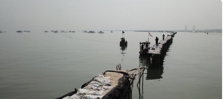 pagar laut terlihat di perairan Kampung Pulau Cangkir, Kronjo, Kabupaten Tangerang, Banten
